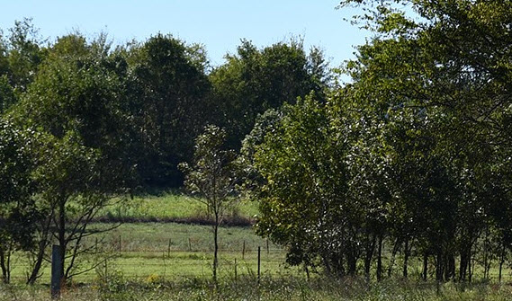 Homesite Loans