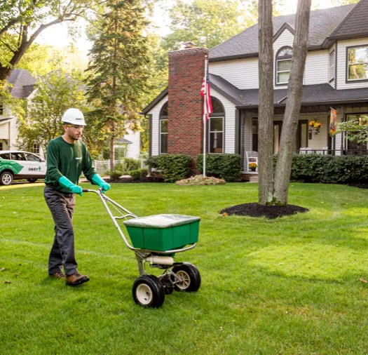 Tree and Shrub Fertilization Services