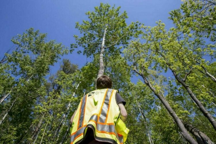 Environmental Services 