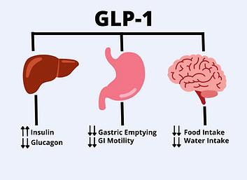 Clinical Trials for Semaglutide