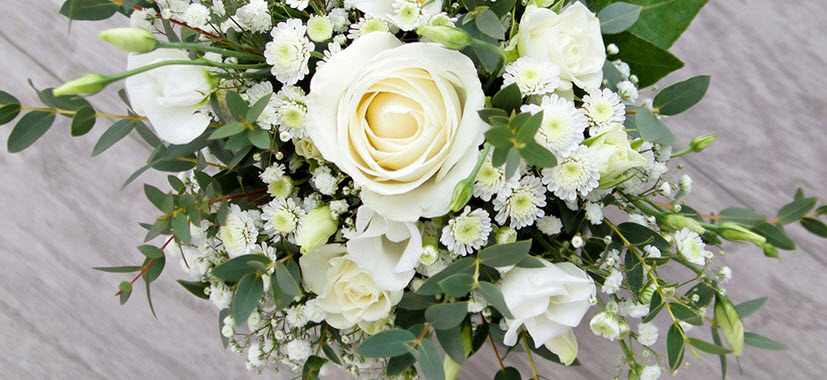 Sympathy and Funeral 