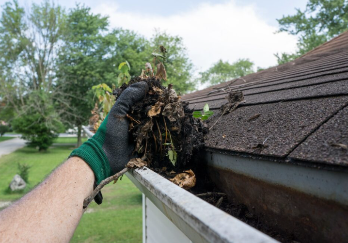 Gutter Cleaning