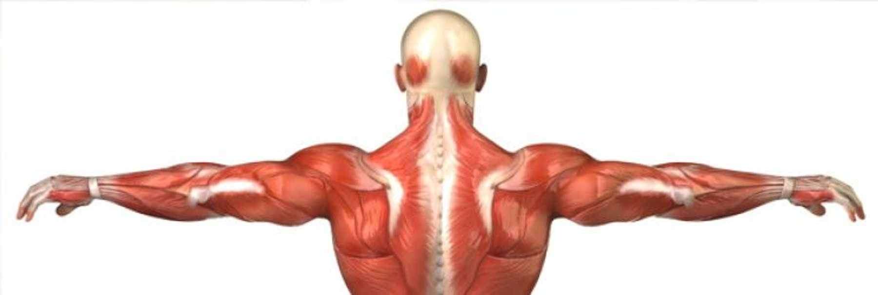 Sports Massage Clinic
