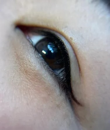 Upper Lash Enhancement with Wing