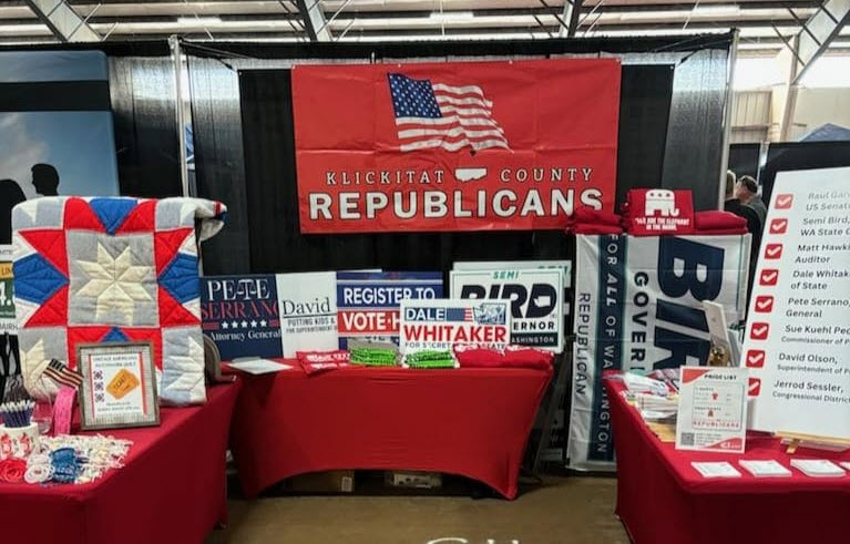Elections Info