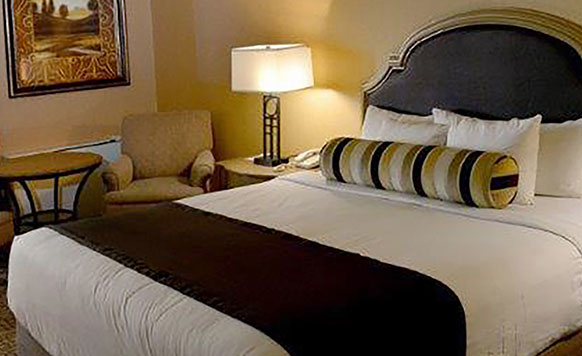 Terrace King Hotel Room