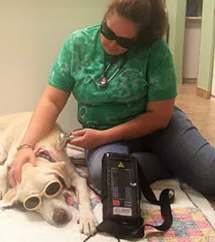 Laser Therapy