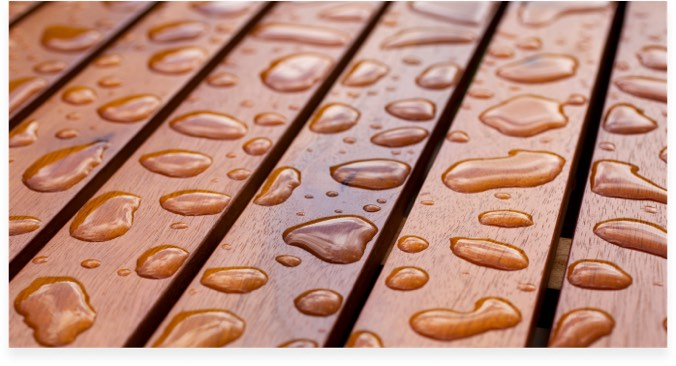 Wood Protection and Biocides
