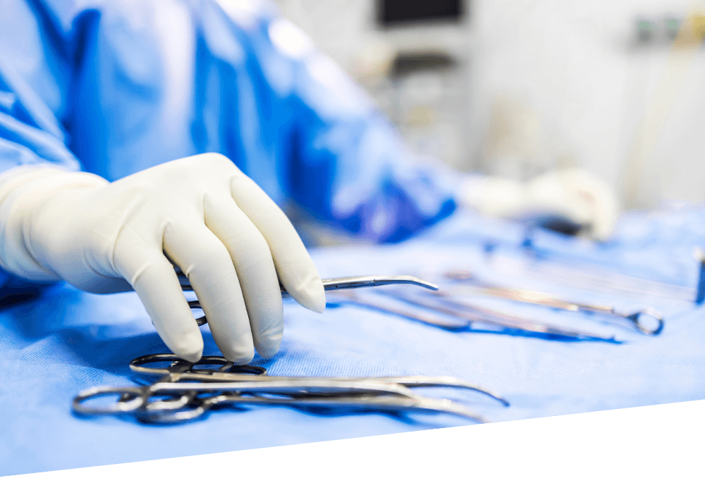 Pet Spay and Neuter Surgery