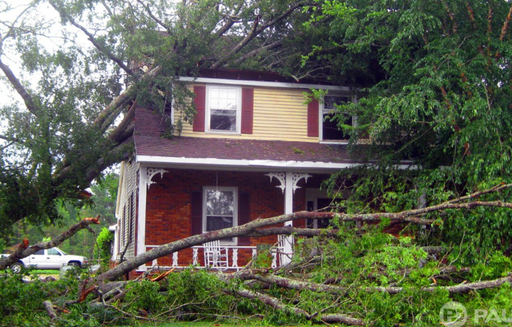 Insurance Services