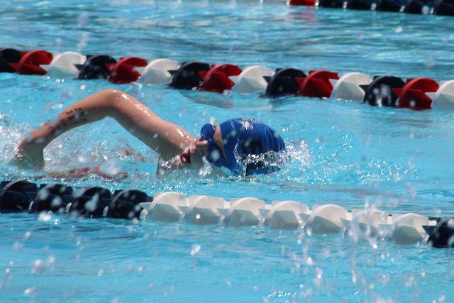 Learn to Swim Program