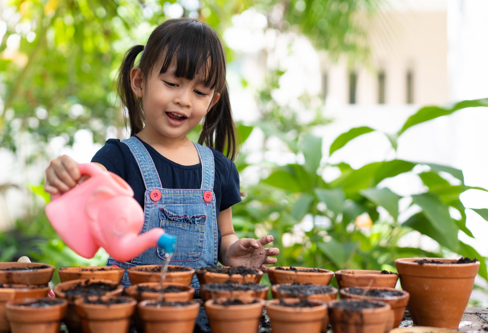 Outdoor Play & Exploration