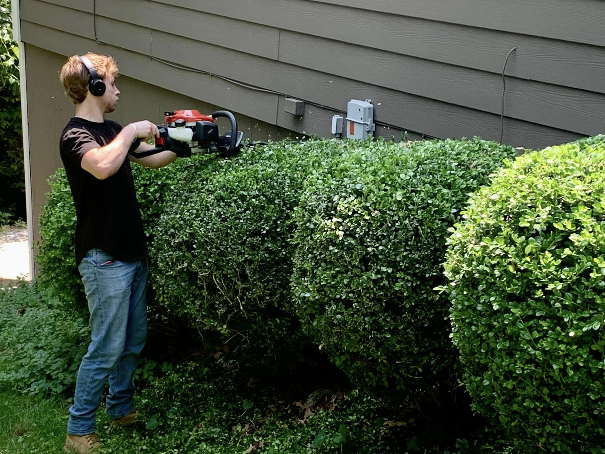 Tree & Shrub Care