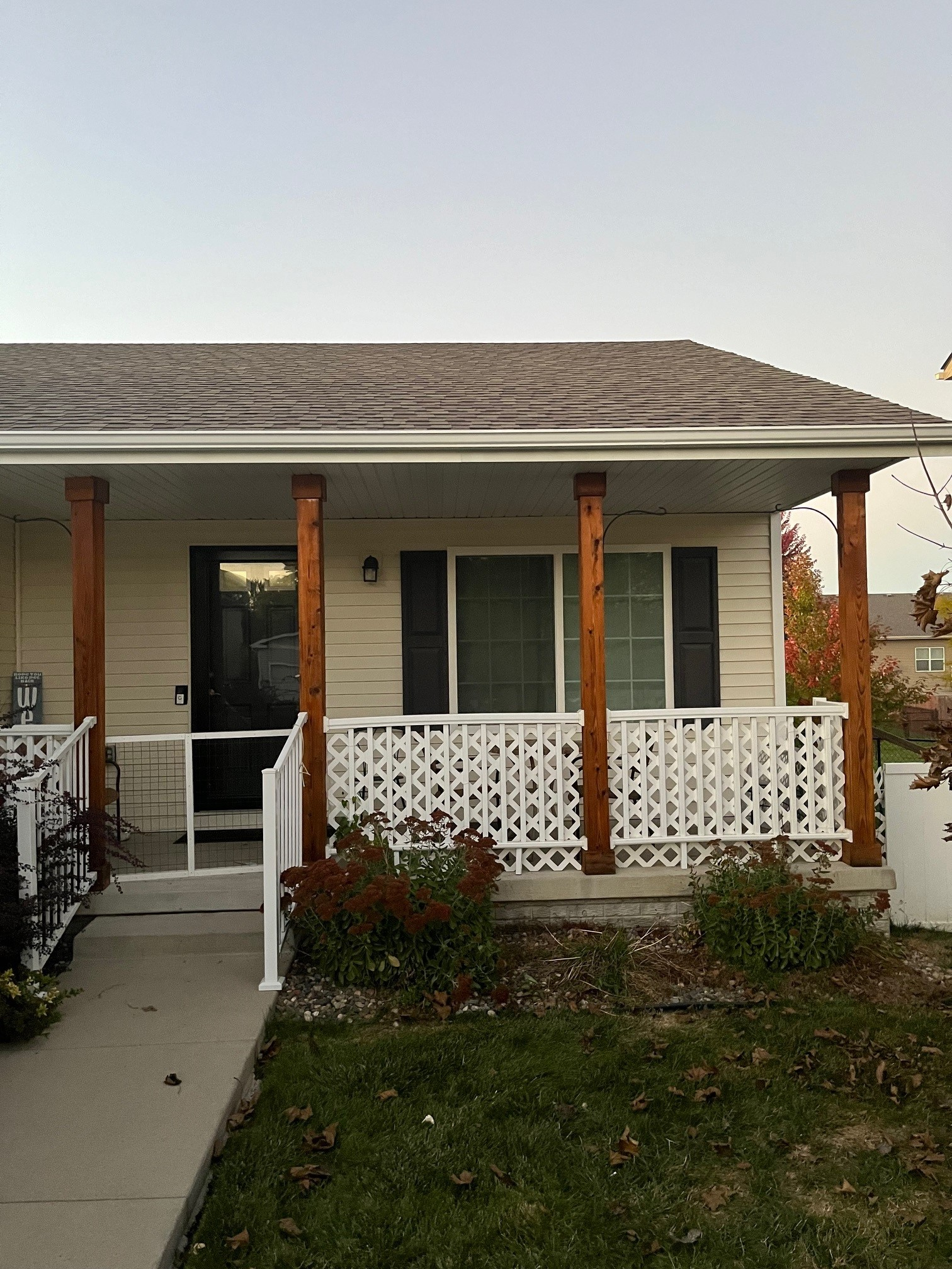 Deck and Fence Staining