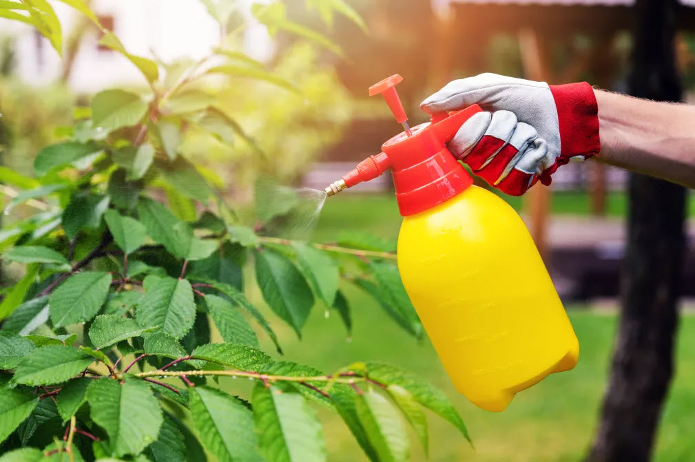 Mite & Insect Sprays