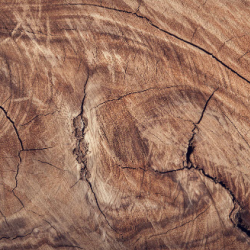 Firewood Supply