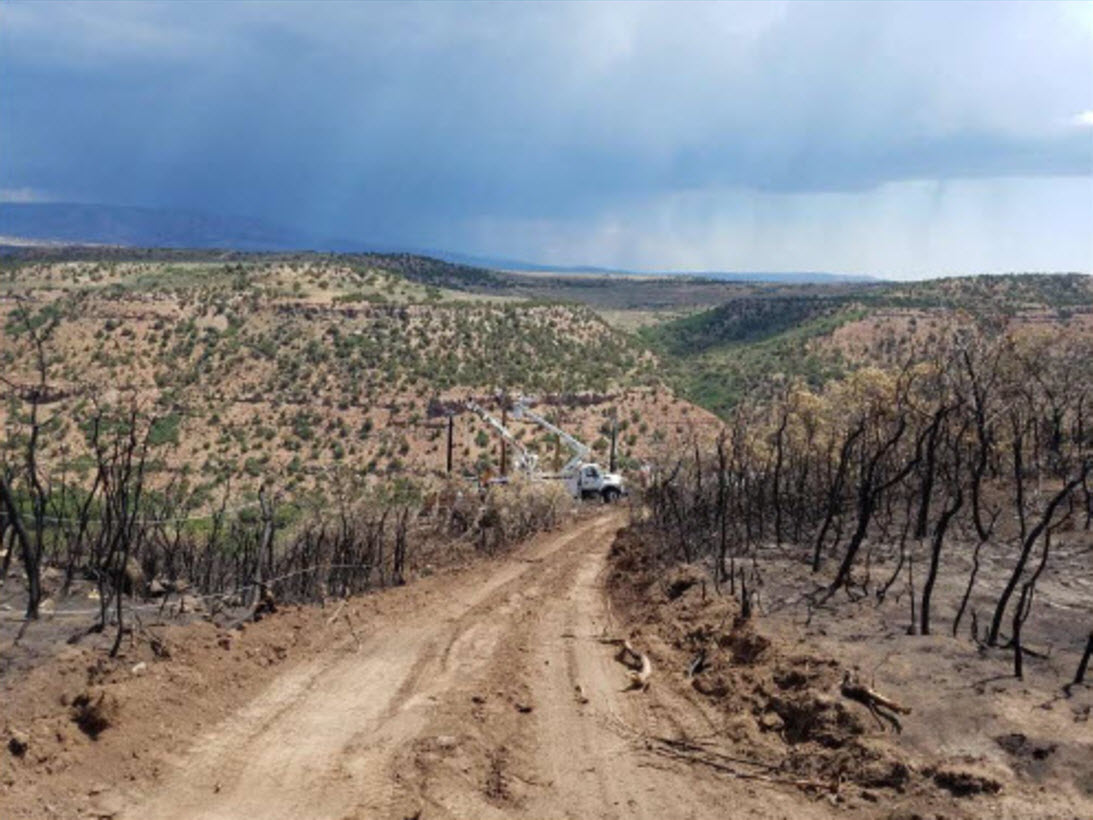 Wildland Fire Protection Plan