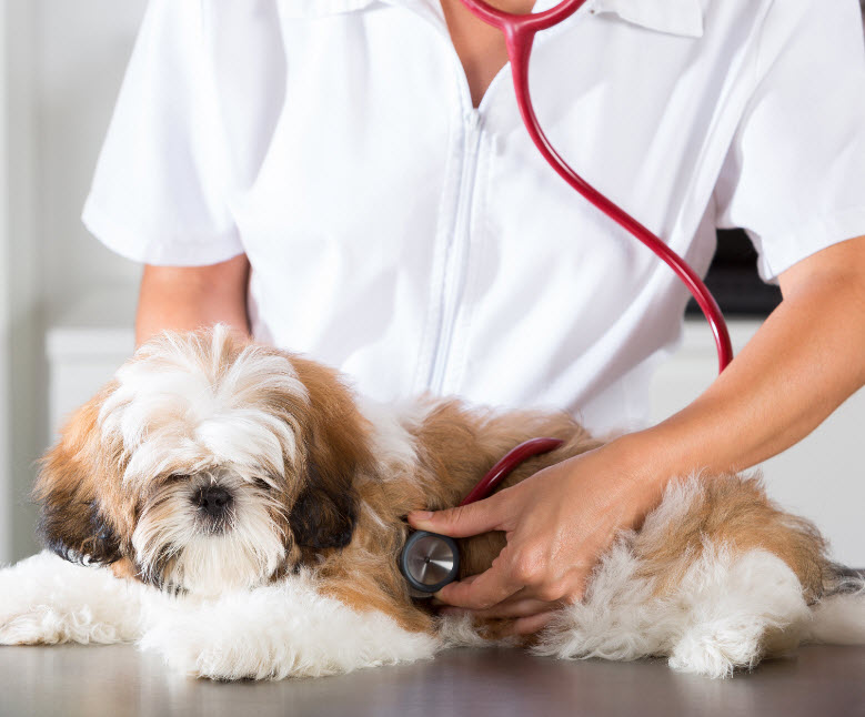 Routine Visits
