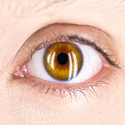 Contact Lenses