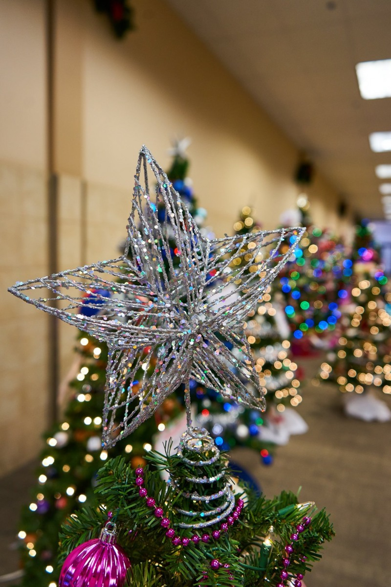 Festival of Trees
