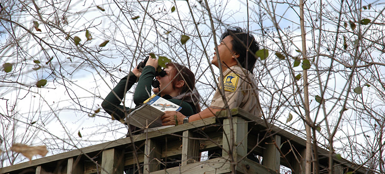 Boating/Fishing/Birding
