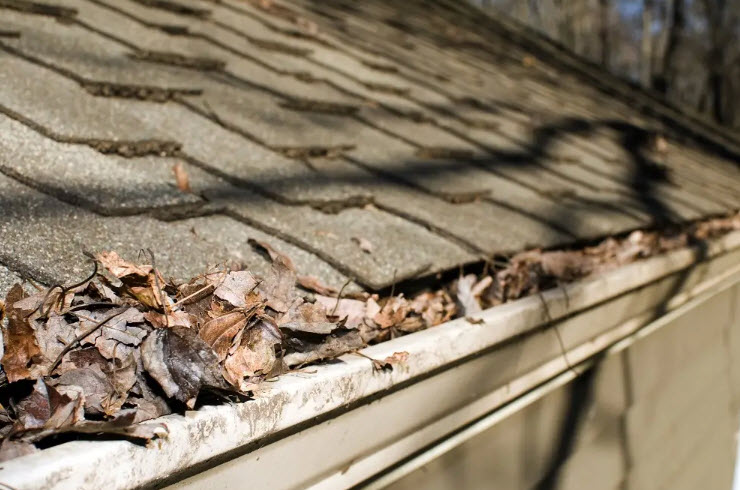 Gutter Cleaning
