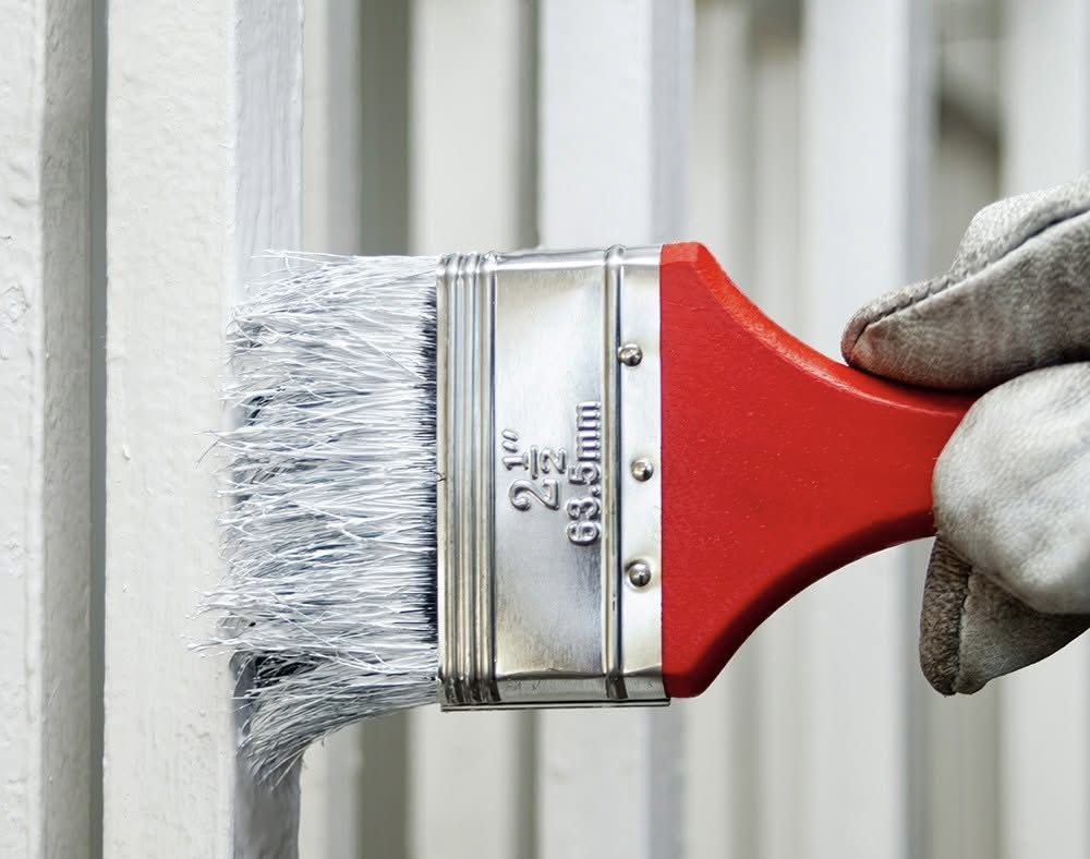 Paint, Stain & Painting Supplies Online
