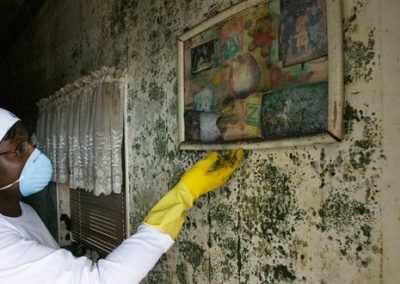 Mold Remediation