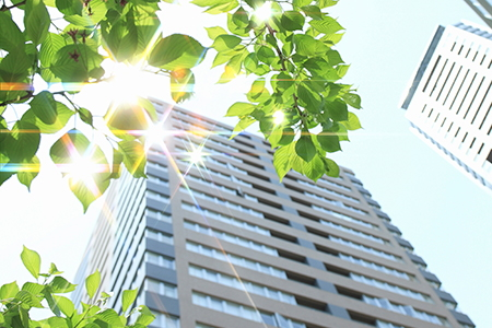 Greensafe Program