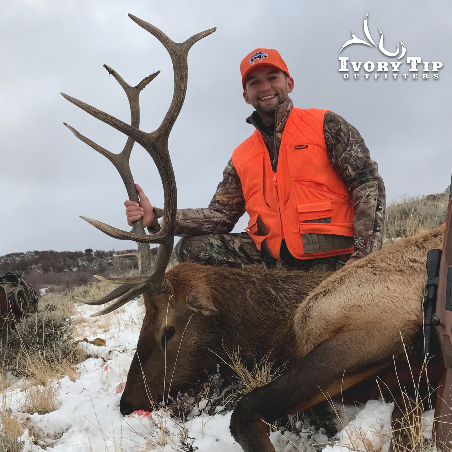 Elk Hunts