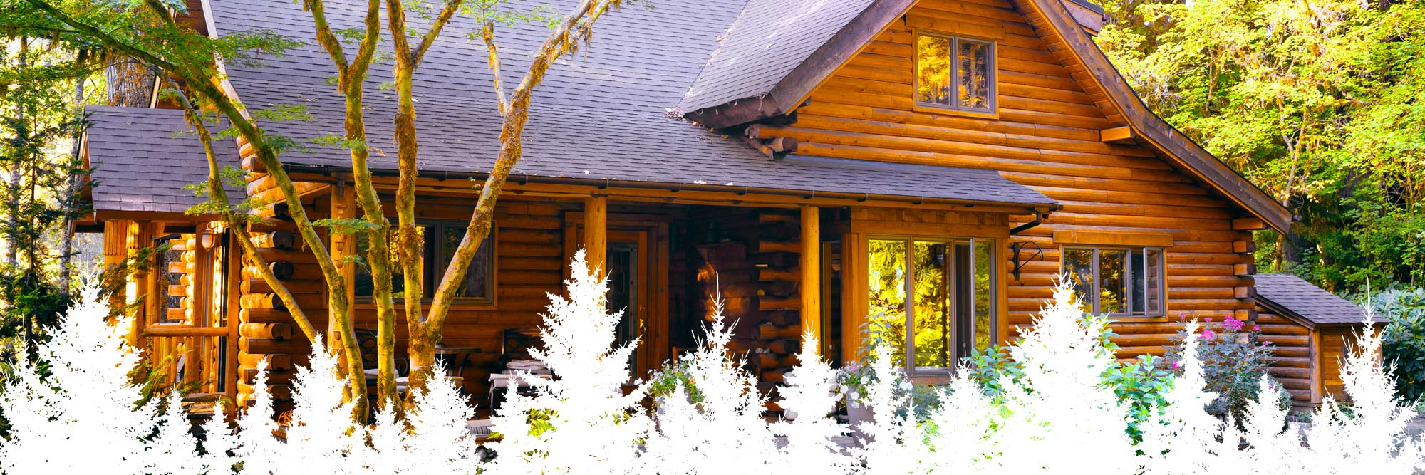 Mortgage Loans 