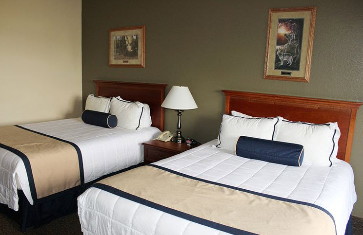 Lodging
