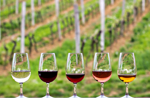 Winery Tours