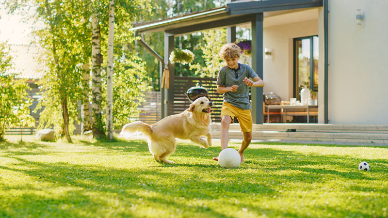 USDA Mortgage Loan 