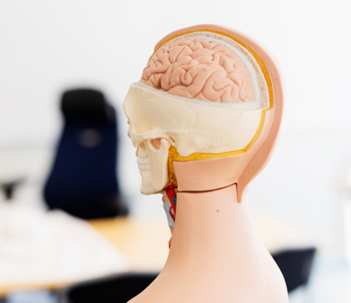 General Neurology