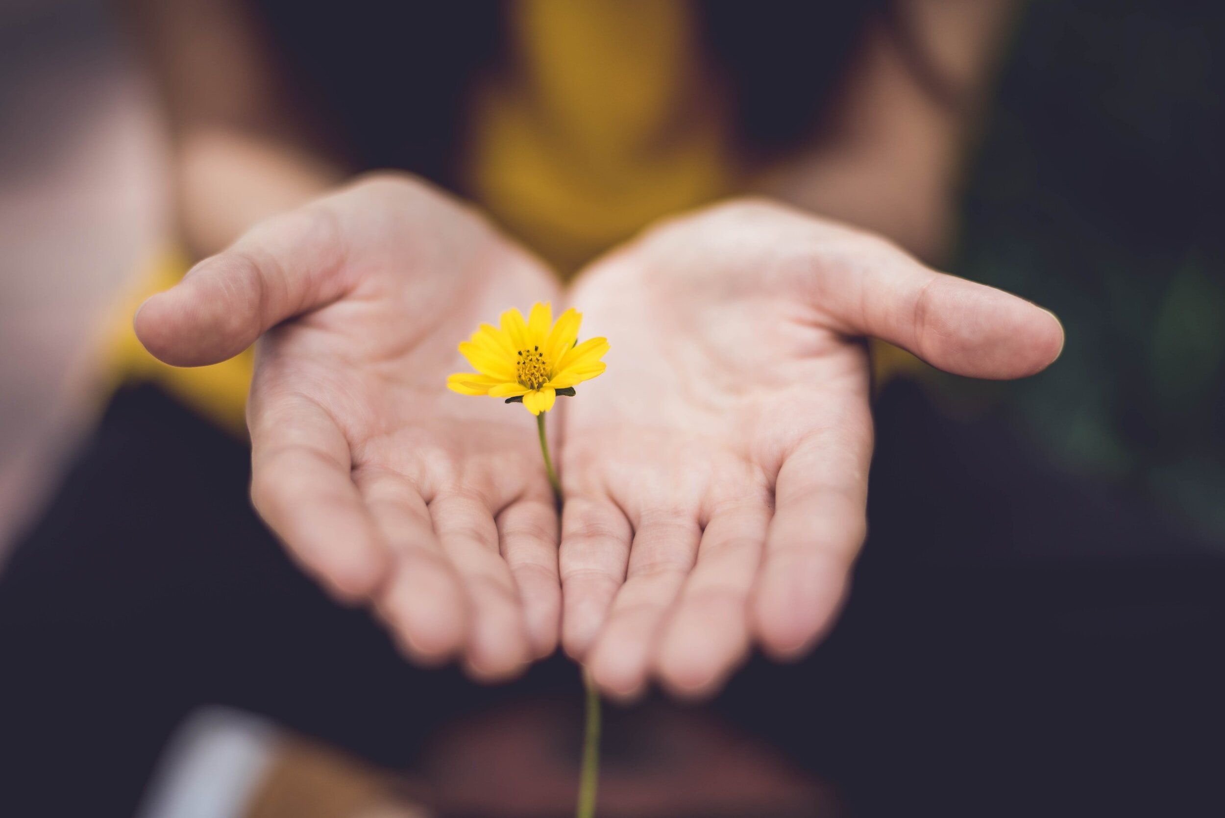 Direct Giving