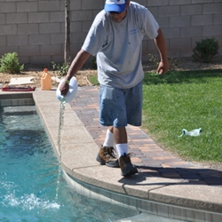 Pool Maintenance