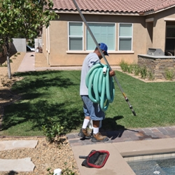 Yard Maintenance