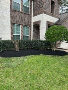 Lawn Care	