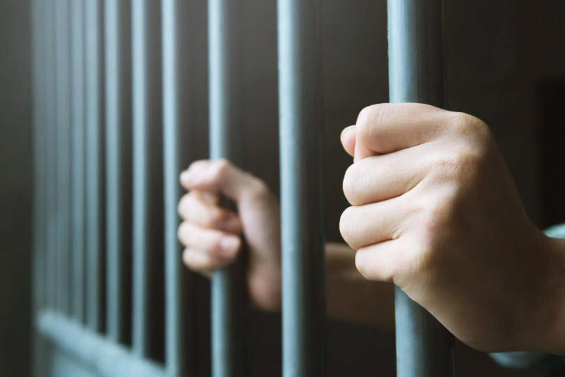 Sex Crimes
