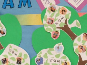 Mandarin Programs