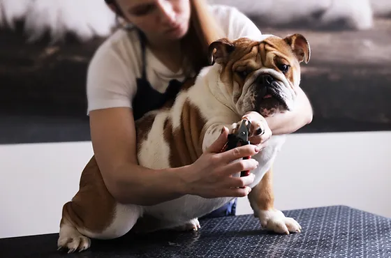 Nail Trimming