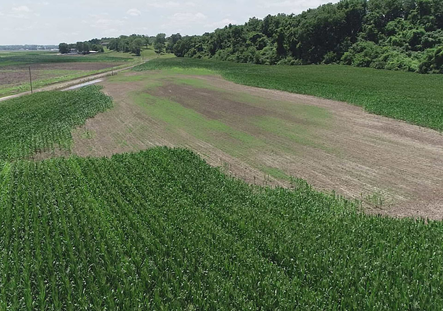 Crop Insurance