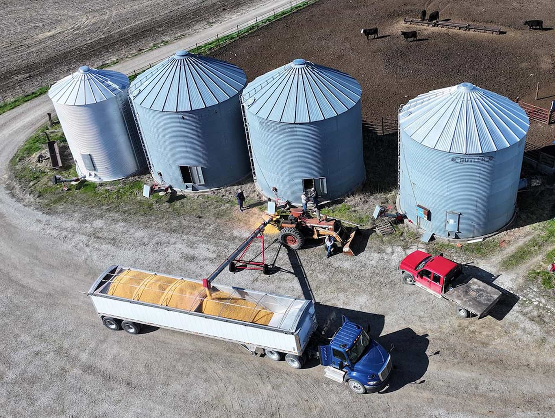 Grain Marketing