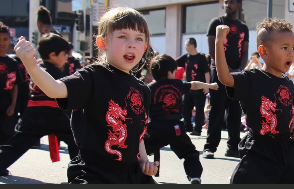 Little Dragons