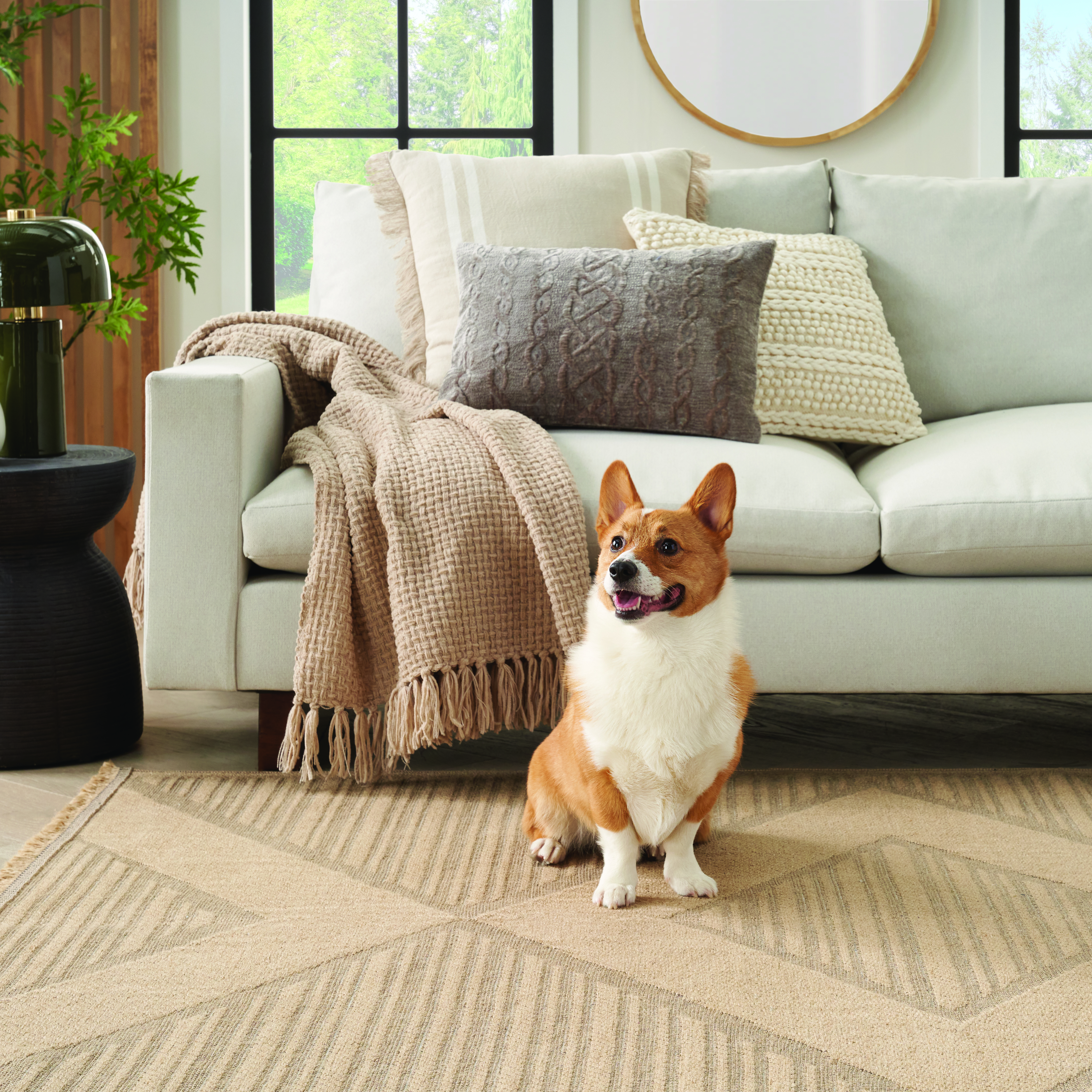 We Are Your Local Rug Experts 