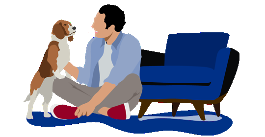 Pet Insurance
