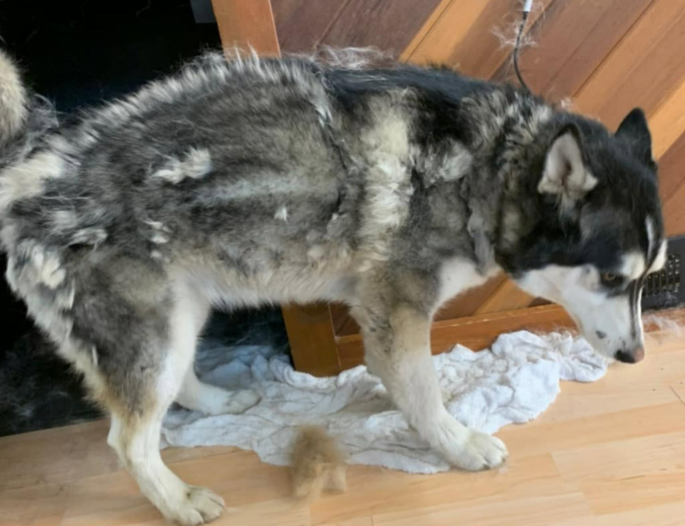 De-Shedding Treatment