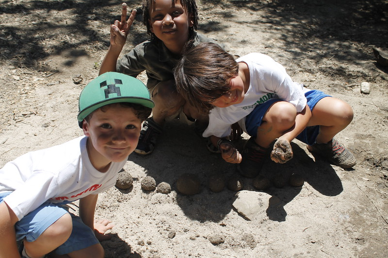 Holiday Camps