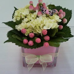 Fresh Floral Arrangements